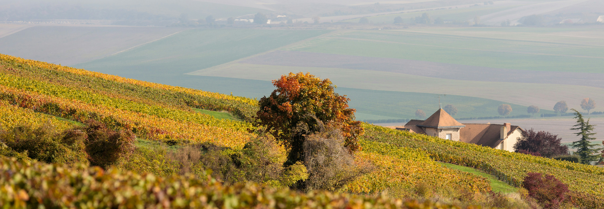 Séjour oenologique en Champagne